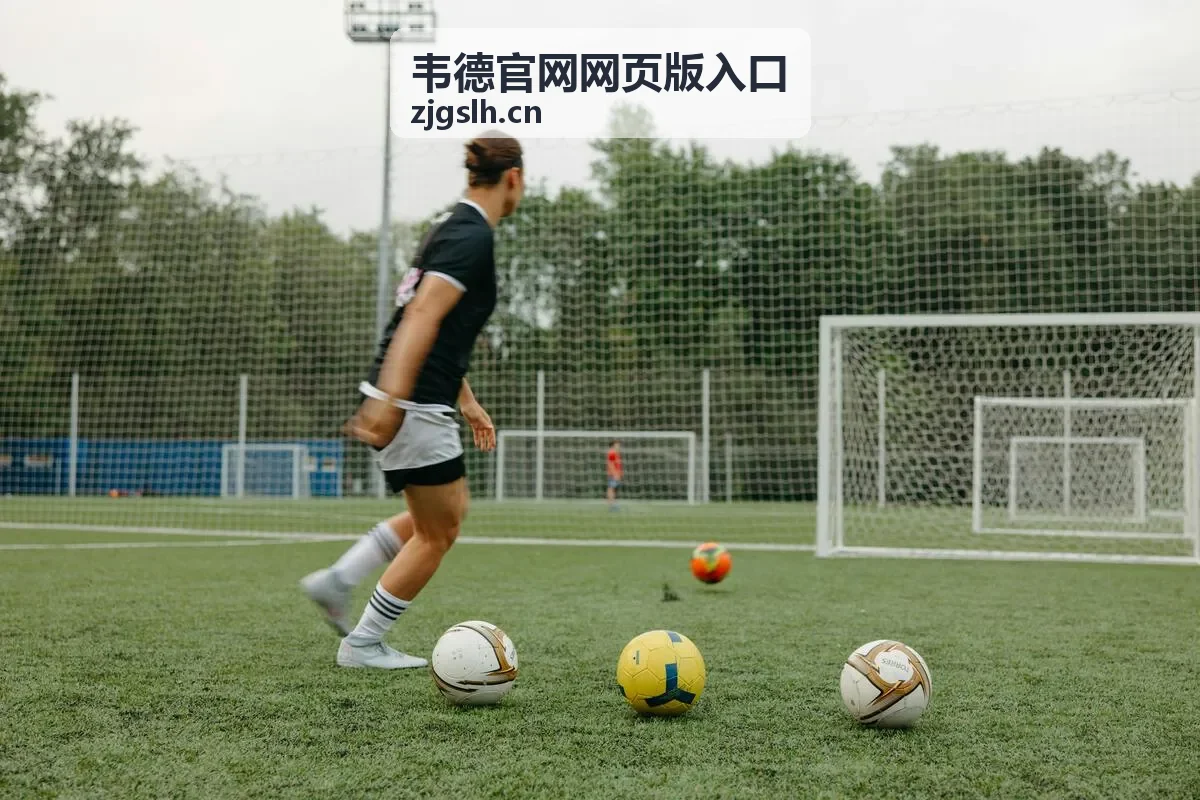 韦德官网网页版入口安全识别技巧