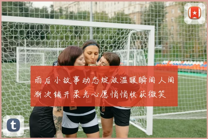 雨后小故事动态绽放温暖瞬间人间渐次铺开柔光心愿悄悄收获微笑