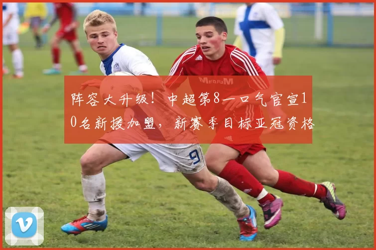 阵容大升级！中超第8一口气官宣10名新援加盟，新赛季目标亚冠资格_玉昆_效力