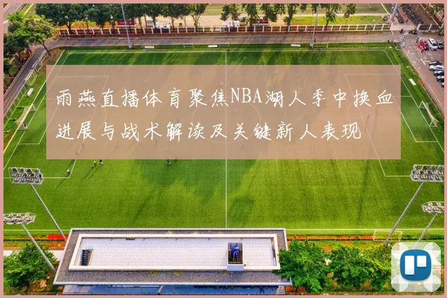雨燕直播体育聚焦NBA湖人季中换血进展与战术解读及关键新人表现