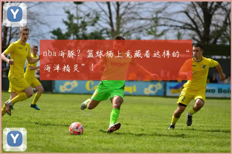 nba海豚？篮球场上竟藏着这样的“海洋精灵”！