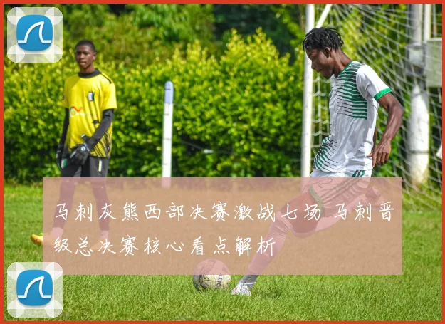 马刺灰熊西部决赛激战七场 马刺晋级总决赛核心看点解析