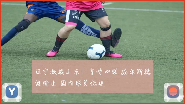 辽宁激战山东!亨特回暖 威尔斯稳健输出 国内球员低迷