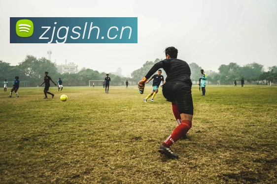 「Kaiyun·中国大陆」 - 官方网站服务体系